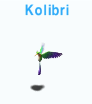 Kolibri           